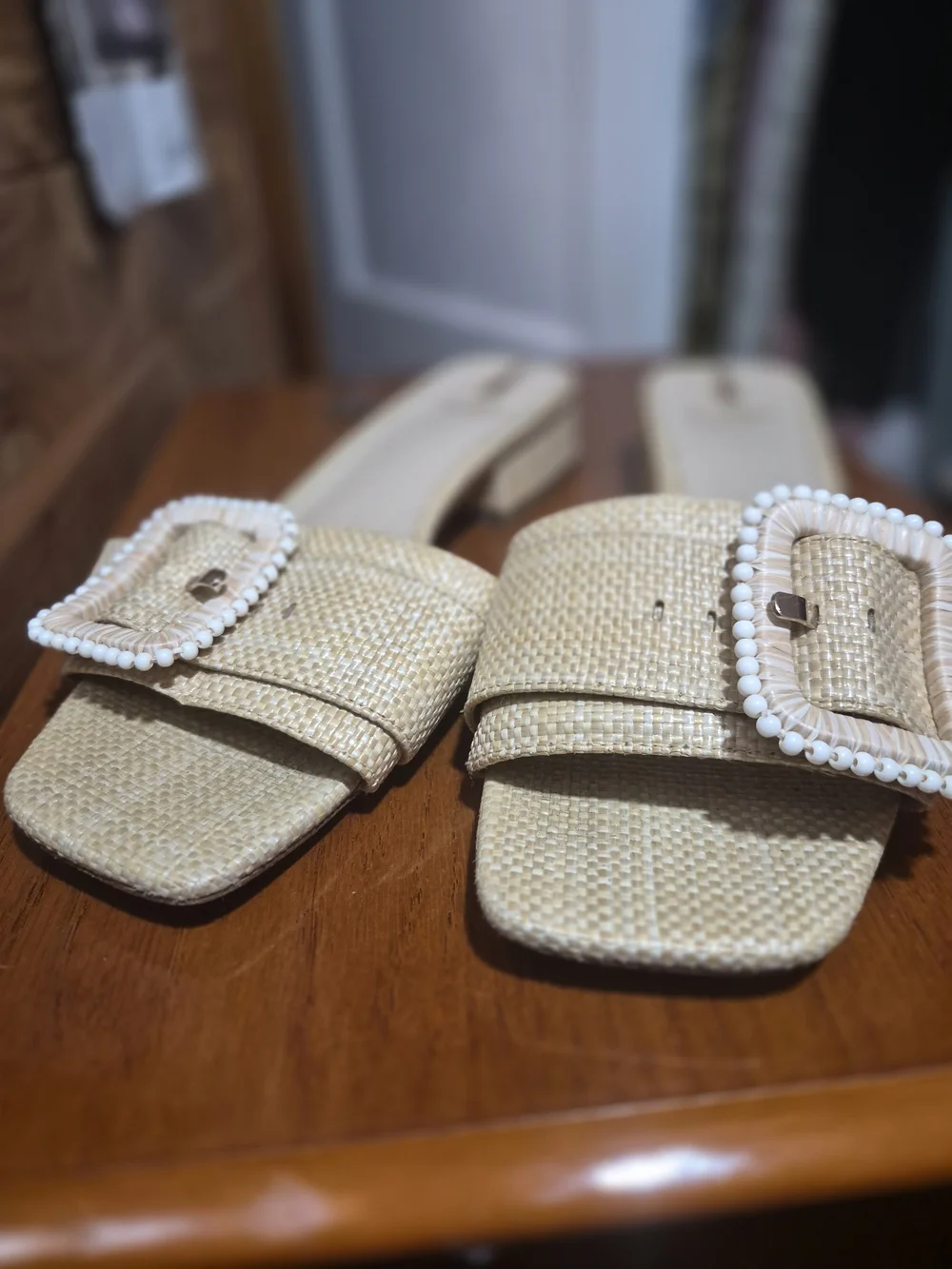Sam Edelman Natural Raffia Slide Sandals with Beaded Buckle